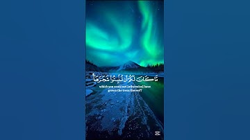 جزء من سورة النمل بصوت الشيخ #ياسر_الدوسري  #تلاوة_خاشعة#راحة_نفسية