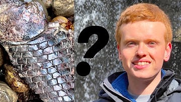 What is THIS Fossil?! Ep 7 | Fossil Hunter
