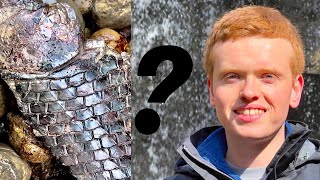 What is THIS Fossil?! Ep 7 | Fossil Hunter What is THIS Fossil?! Ep 7 | Fossil Hunter