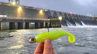 The BEST Striper Fishing Ive EVER Seen!! Non-Stop BIG Fish!!!