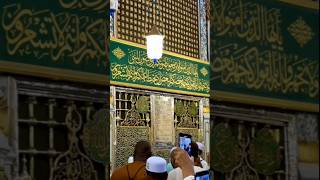 Ye reyaz ul zanna member e Rasool hai💚🏻#prophet #muhammadﷺ #masjidnabawiﷺ #islamic #shorts