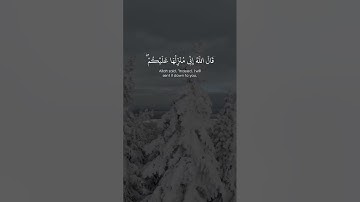 ﴿ قَالَ عِيسَى ابْنُ مَرْيَمَ اللَّهُمَّ رَبَّنَا ﴾ | محمد الغزالي - تلاوة من سورة "المائدة"