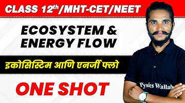 Ecosystem and Energy Flow  in 1 Shot | HSC Boards | MHT CET | इकोसिस्टिम आणि एनर्जी फ्लो