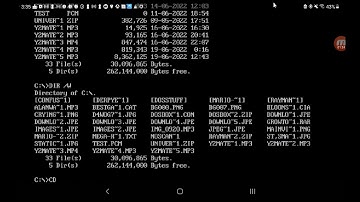 HOW TO LAUNCH/PLAY ANY MS DOS GAME ON ANDROID (SLOW) (FULLY EXPLAINED)