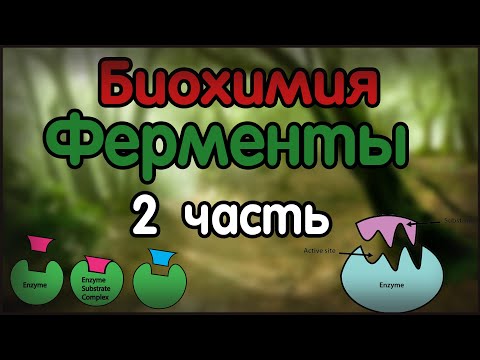 Биохимия. Лекция 22. Ферменты. Part 2.