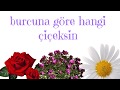 burcuna göre hangi çiçeksin