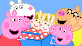 Best of Peppa Pig Season 5 🐷 Baby Rabbits 🐰 Full Episodes Compilation 10