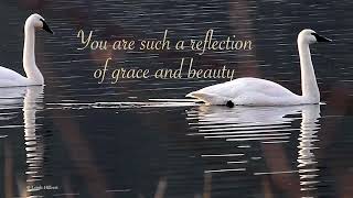 GRACE &amp; BEAUTY