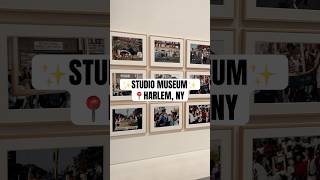 The NEW Studio Museum in Harlem is where Black art lives in New York City | NYC museums & culture