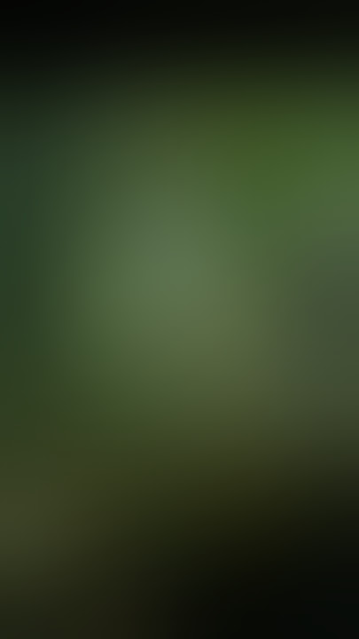 fakta Aokigahara hutan paling angker di Jepang