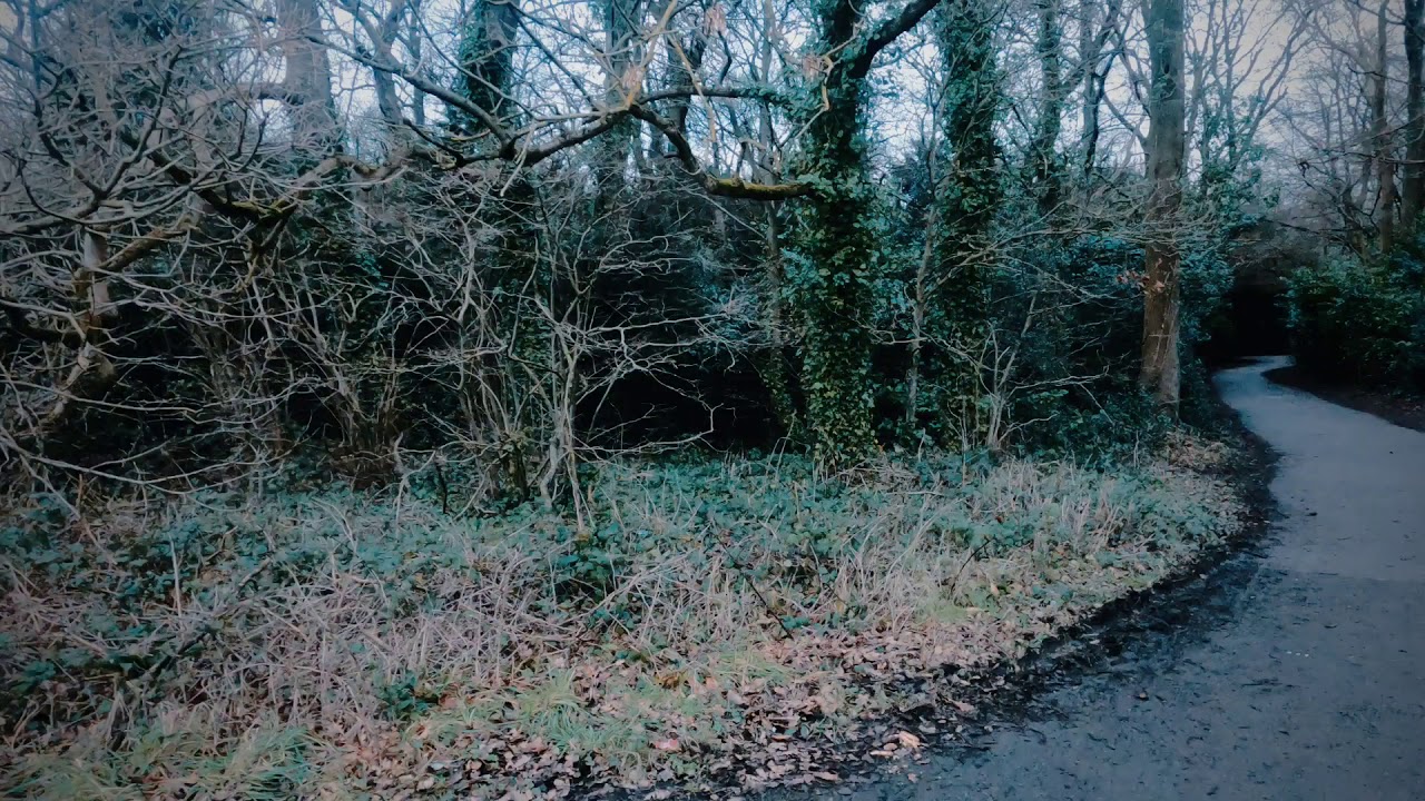 Final edit of a dark January 2021 Walk in Arrowe Country Park.