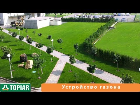 Устройство рулонного газона на участке и его преимущества