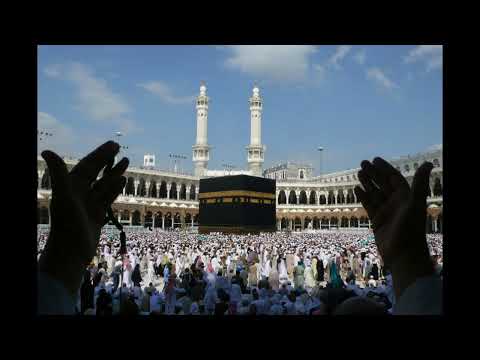 Afraid Humming With Rain