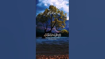 تلاوة هادئة ((ان الله وملائكته يصلون على النبي))