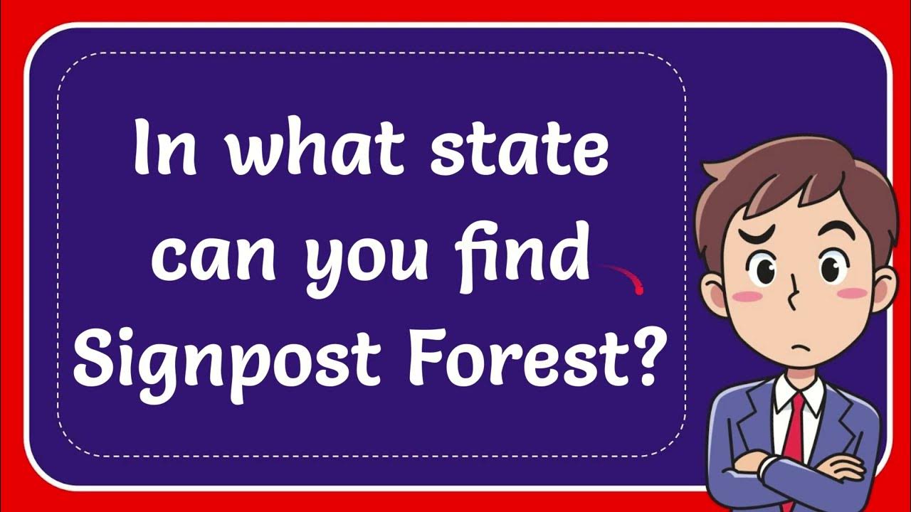 in-what-state-can-you-find-signpost-forest-answer-youtube