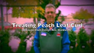 Simple Solutions: How to Treat Peach Leaf Curl for My Peach and Nectarine Trees screenshot 5