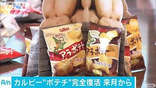 カルビー　販売休止のポテチが来月から復活へ(17/08/10)