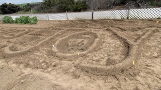 Planting potatoes and onion sets