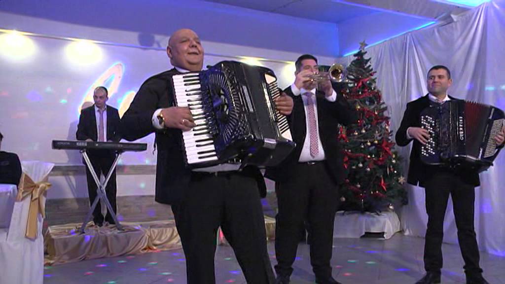 Ljubisa Bozinovic - Vlaska medenica - NG PROGRAM 2016 (TV ISTOK)