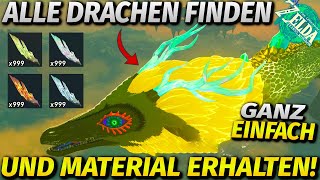 *NEU* Alle Drachen finden & Drachen-Materialien ganz einfach farmen! ► Zelda Tears of the Kingdom screenshot 2