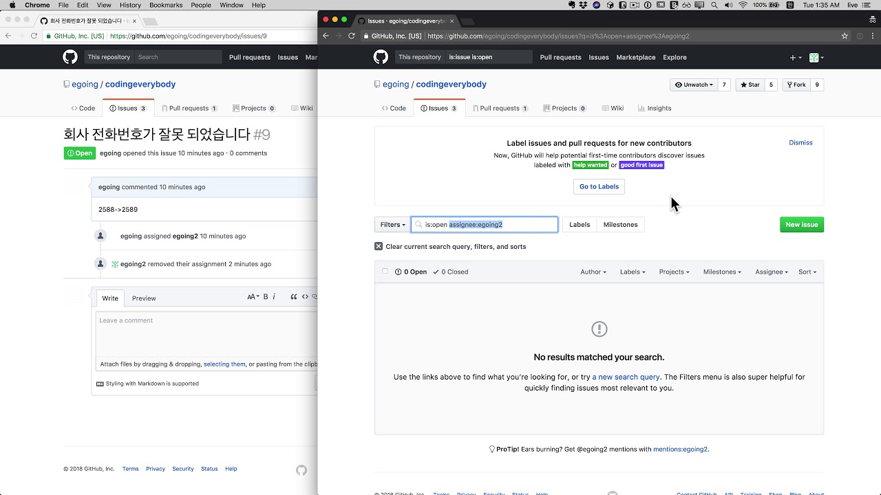 github issues 3 필터와 상태 - YouTube