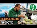 УСИЛЬТЕ действие любого биопрепарата за 5 МИНУТ!