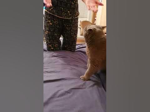 Типичный британец🤗 - YouTube