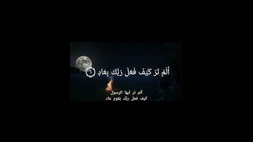 تلاوة خاشعة من سورة الفجر / القارئ عنان محمد
