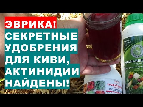 Видео: Какво прави Eureka?