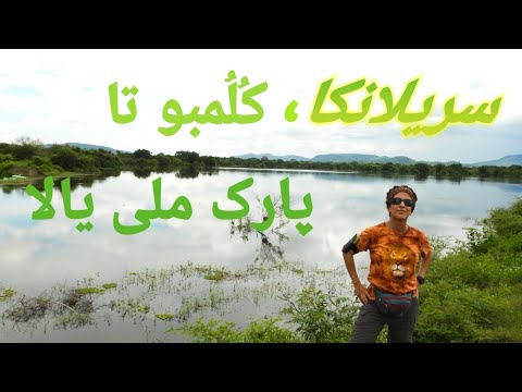 تصویری: کجا به سافاری در سریلانکا