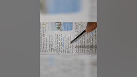 Adventure in the Andmans (Part 4)Class 4th, Raintree English