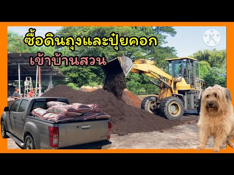 พี่ชายพาไปซื้อดินถุงและปุ๋ยคอก หลานชายตัวน้อย มาเยี่ยมคุณยายที่บ้านสวน ขากลับได้ของฝากจากบ้านสวนมีผักและผลไม้ที่คุณยายปลูกเอง❤️❤️❤️