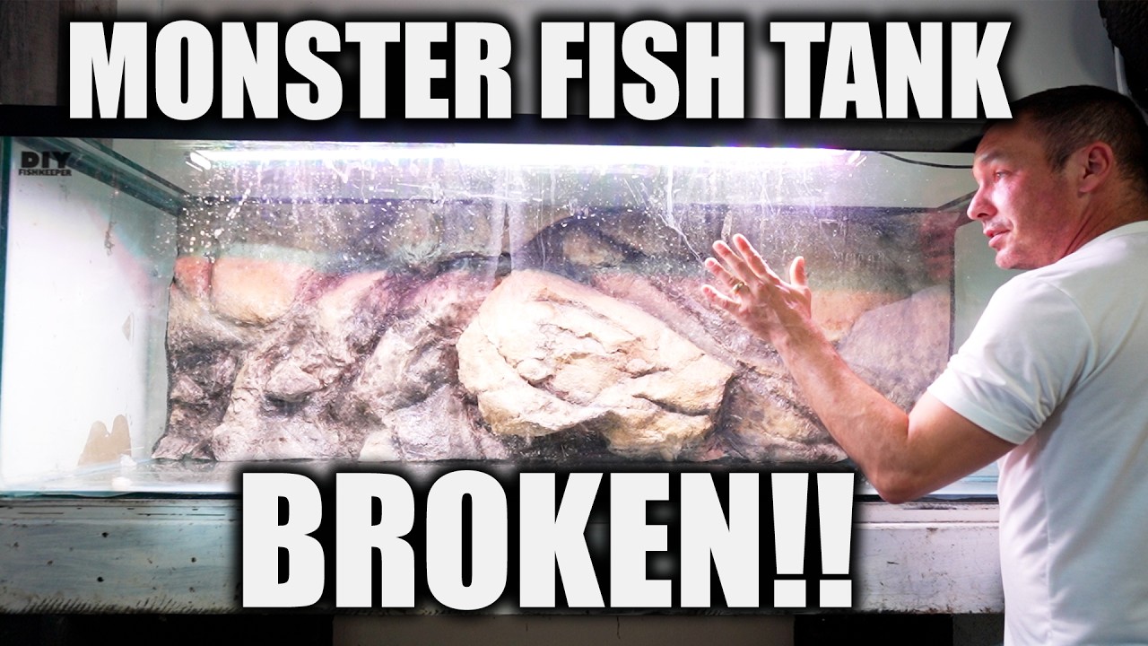 I BROKE MY ELECTRIC EEL AQUARIUM! TWICE!!!!