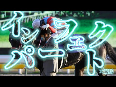 インパーフェクト×競馬‼︎‼︎ ヒーローの軌跡［競馬mad］