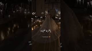 حالات واتس ستوريات عاروس غنيه يا حلم فصاني يا طرحا غفياني اجا ليوم تا تصحو وتودعو غزانه 👑🥹👰🏼