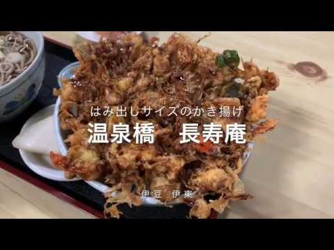 はみ出しサイズの巨大なかき揚げｗｗ 伊豆　伊東『温泉橋 長寿庵』