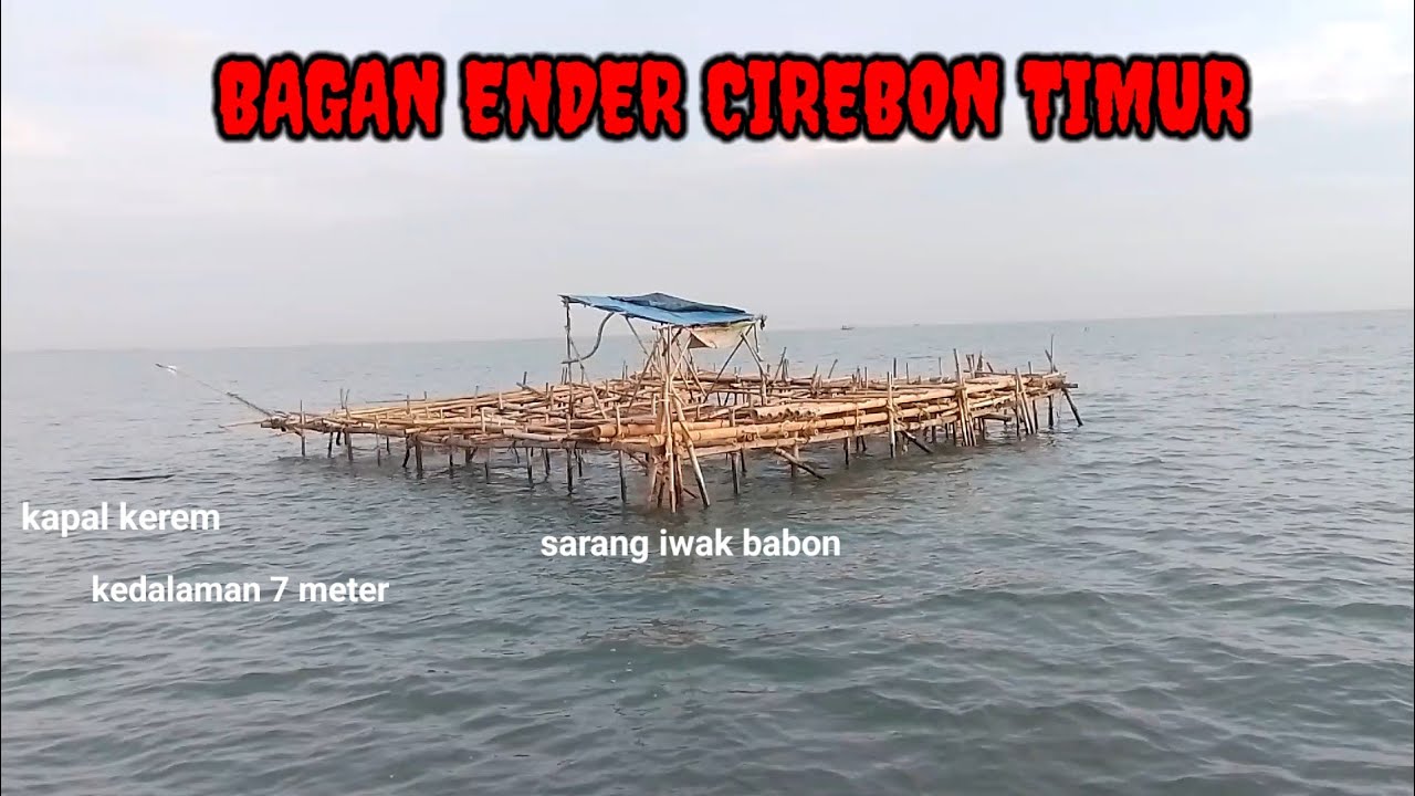 SPOT MANCING DI BAGAN ENDER // SARANG IKAN BABON !!!