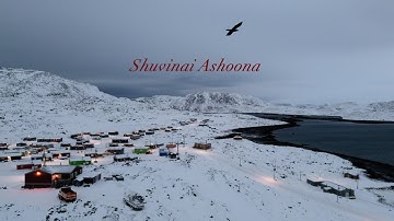 Portrait of Shuvinai Ashoona, #GGArts2024 winner