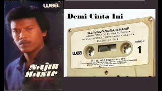 Najib Hanif - Demi Cinta Ini