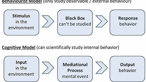 Cognitive Psychology