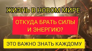 ОТКУДА БРАТЬ СИЛЫ И ЭНЕРГИЮ? ЖИЗНЬ В НОВОМ МИРЕ - КЛЮЧИ К СЧАСТЬЮ