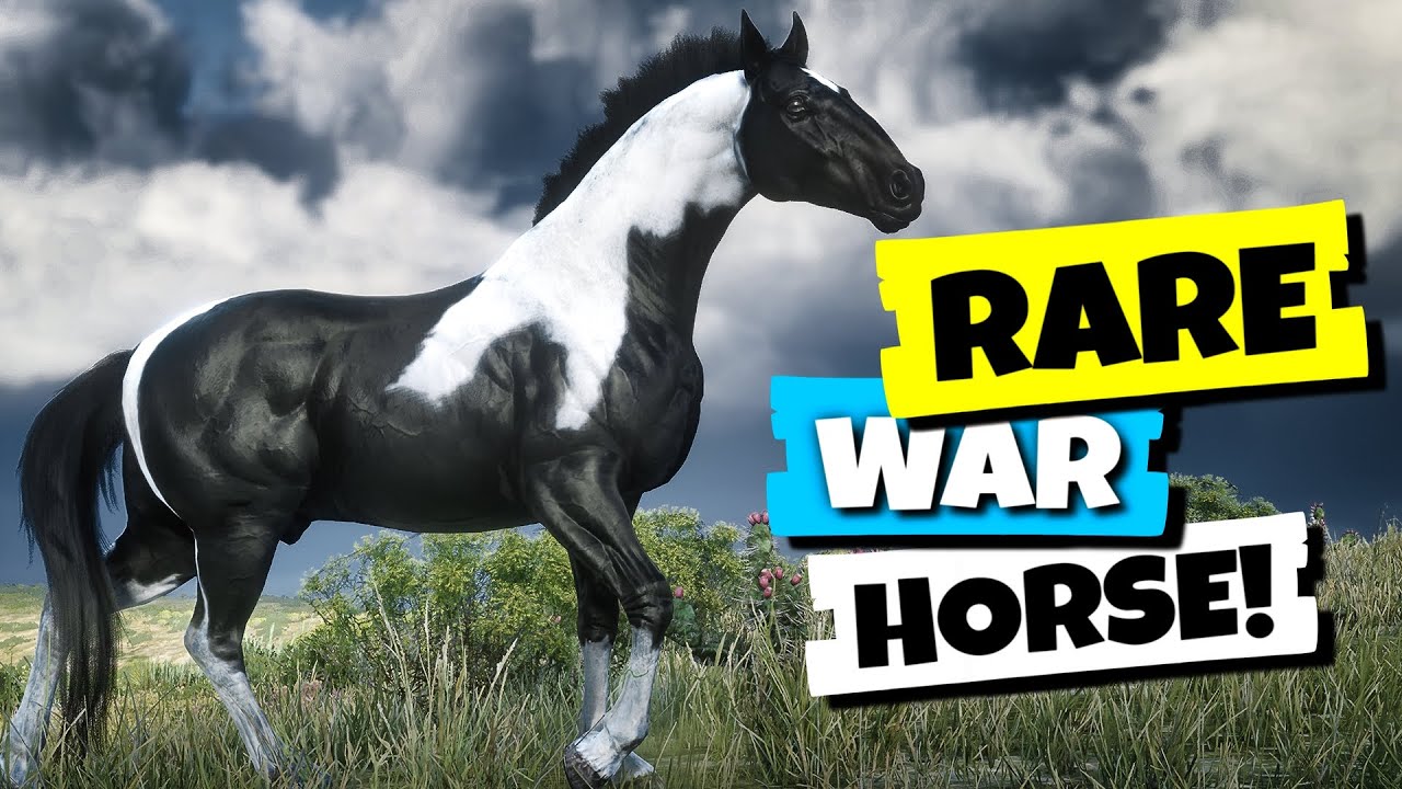Steal This RARE War Horse from Blackwater! (Piebald Tobiano)
