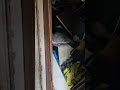 exploring a smashed &amp; creepy room
