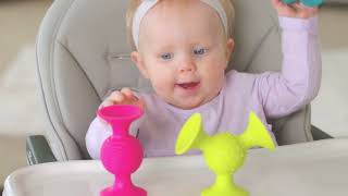 PipSquigz - Little Brainies by Fat Brain