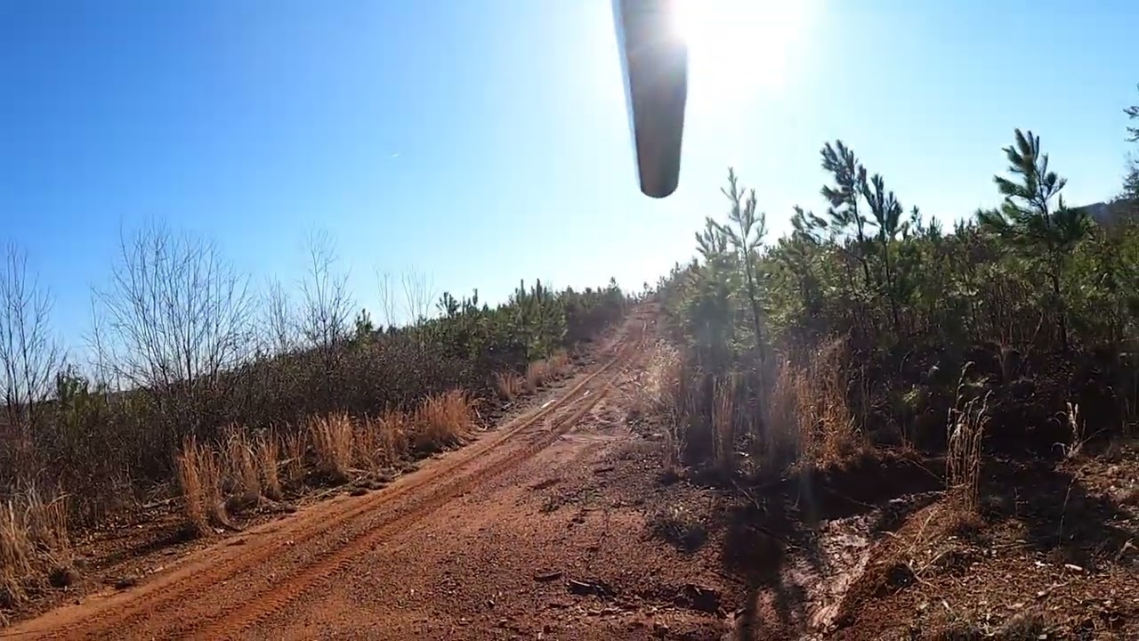 Virginia 2021 - 2022 Rabbit Season Jump and Shooting compilation