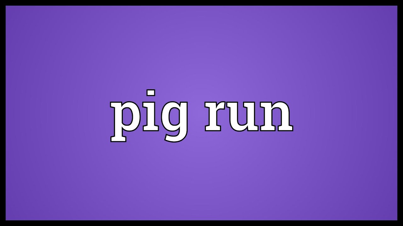 Pig Run Meaning YouTube