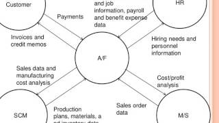 erp-module-finance-2 Net Worth