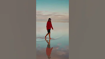 Какое животное живёт дольше всех?