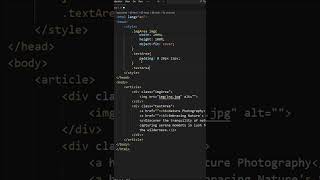 Day 8 of the 75-Day UI Challenge 🎉 Learn to typography styles for headings and paragraphs.