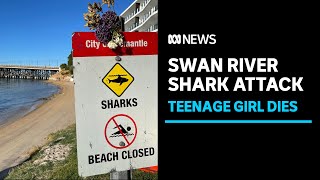 Teenager dies after suspected shark attack in Swan River | ABC News